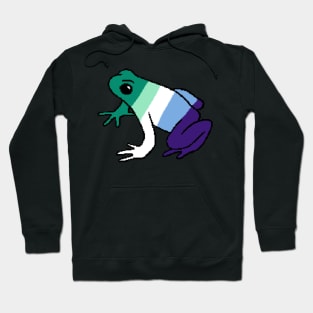 Pixel Gay Man Frog Hoodie